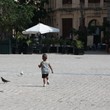 Kid chasing doves in Havana
